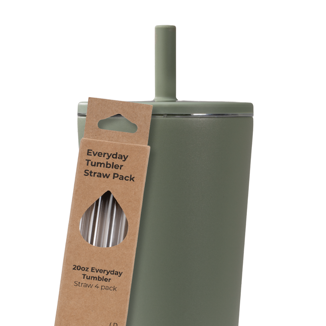 tumbler-straws-4-pack-20oz-d5 Everyday_20.png