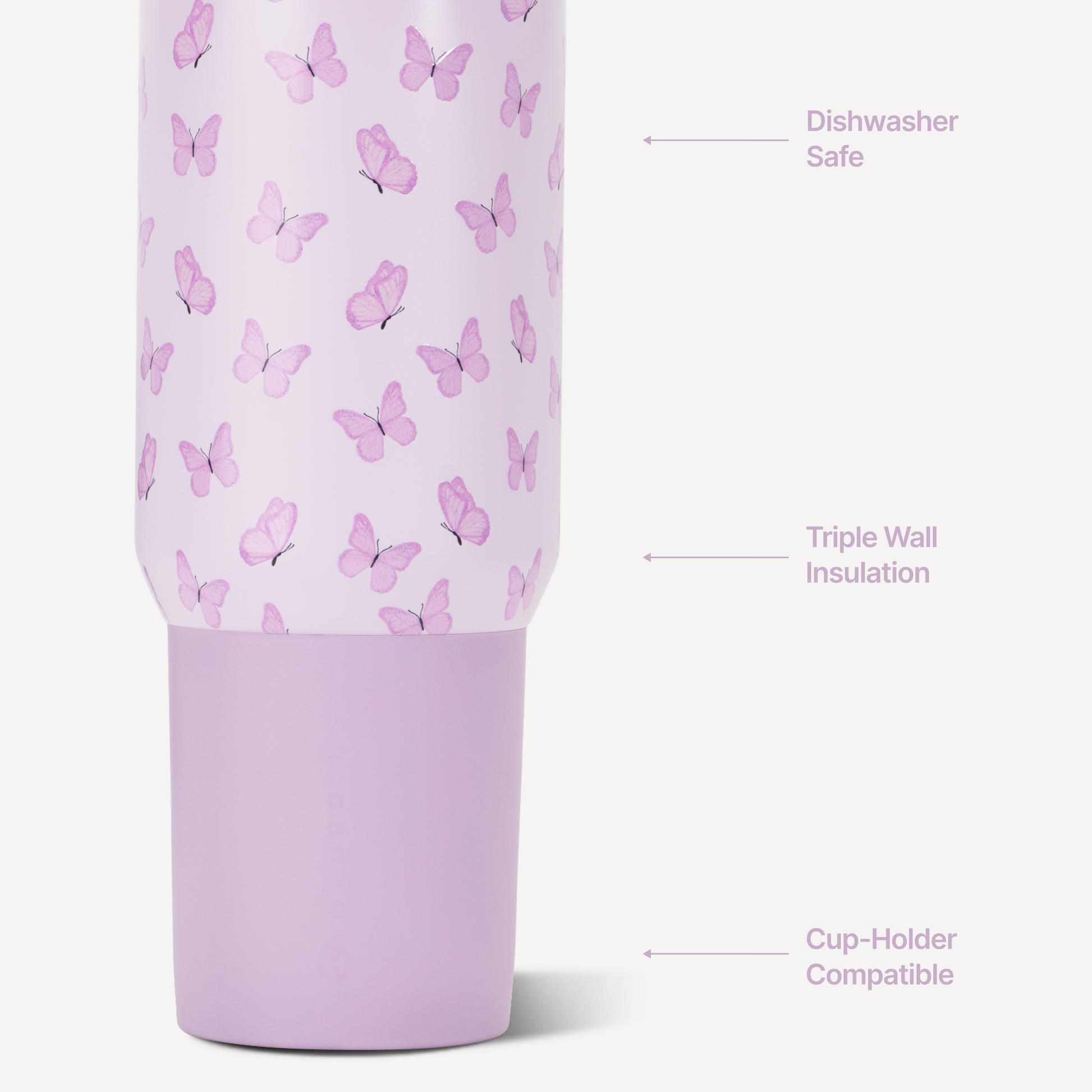 flutter-s2 Sport20-Flutter-3-WPI.png