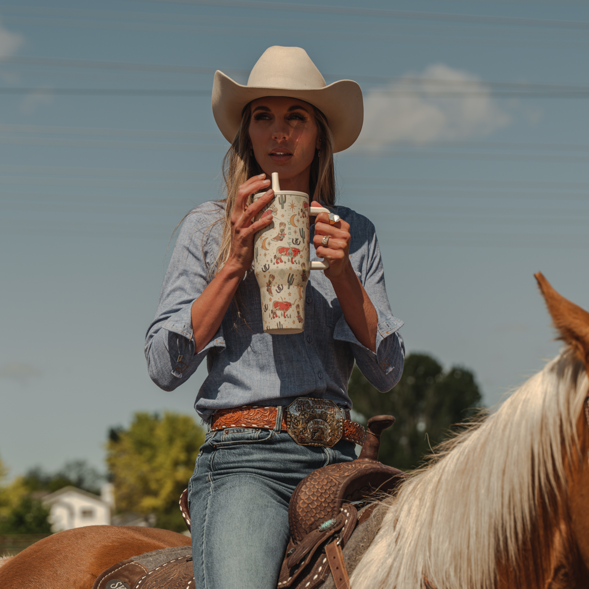 rodeo-l0 TRVL-Rodeo-6WPI.png